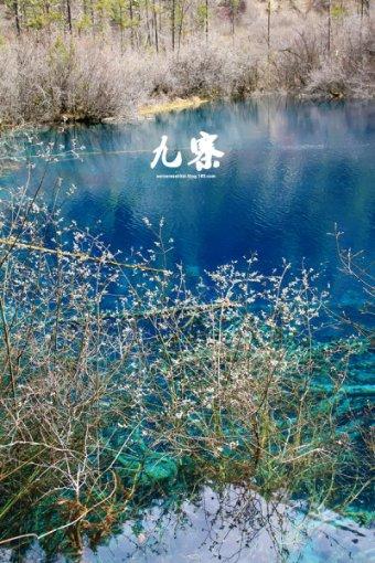 xp关机没反应-知识星球平台,发现你的更多可能