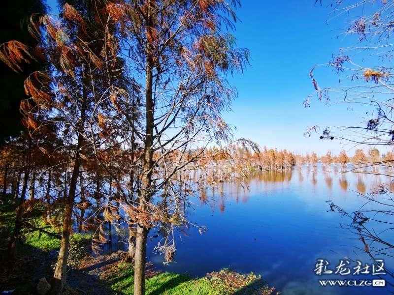辛巴复出设人墙封路导致交通拥堵,一个网红哪来这么大的“排面”?-你问我答,解答你的疑问