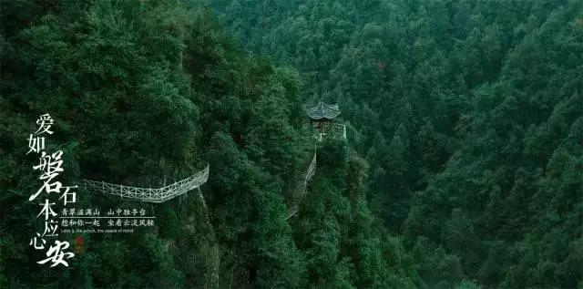 动物帮帮忙保卫家园