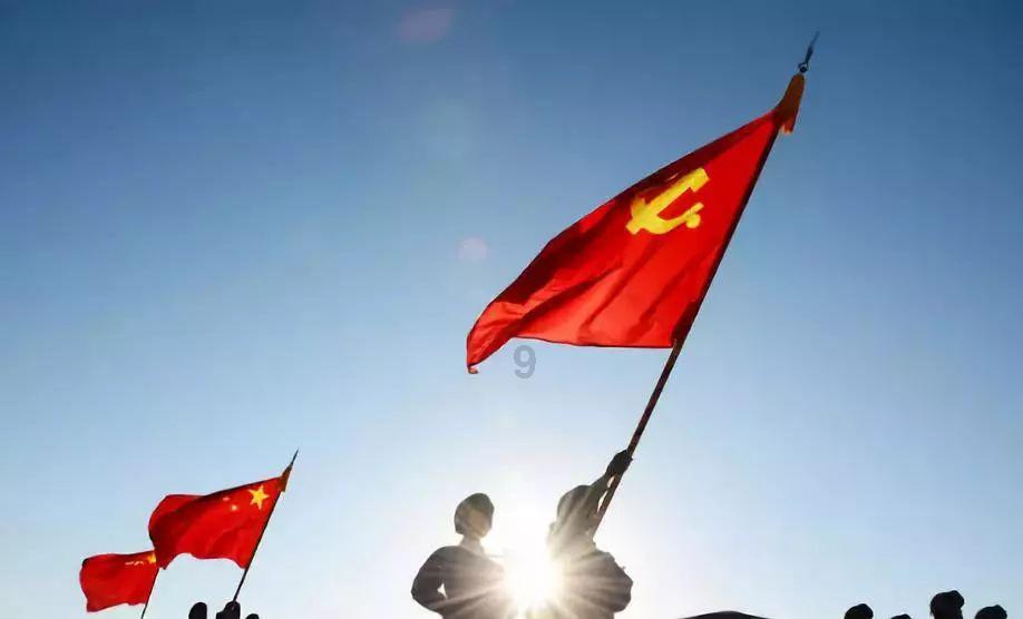 了解怎么做鸡蛋羹啊?,参与知识星球,汲取新智慧
